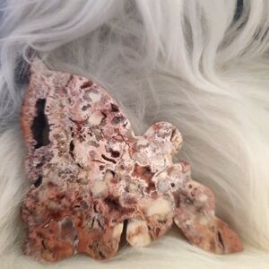 PINK Crazy Lace Faerie